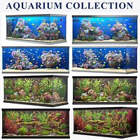 aquarium collection
