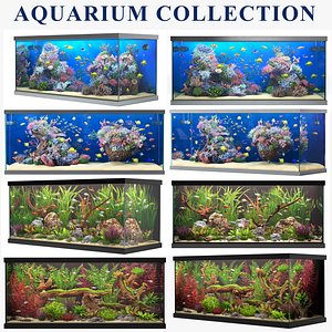 aquarium collection