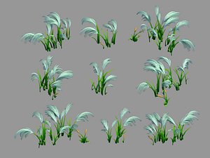 3D model yunmengze - setaria 21