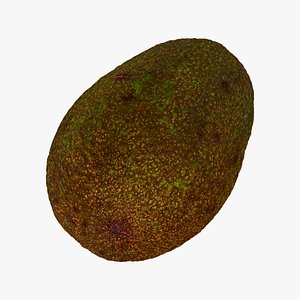 avocado hass 06 seed model