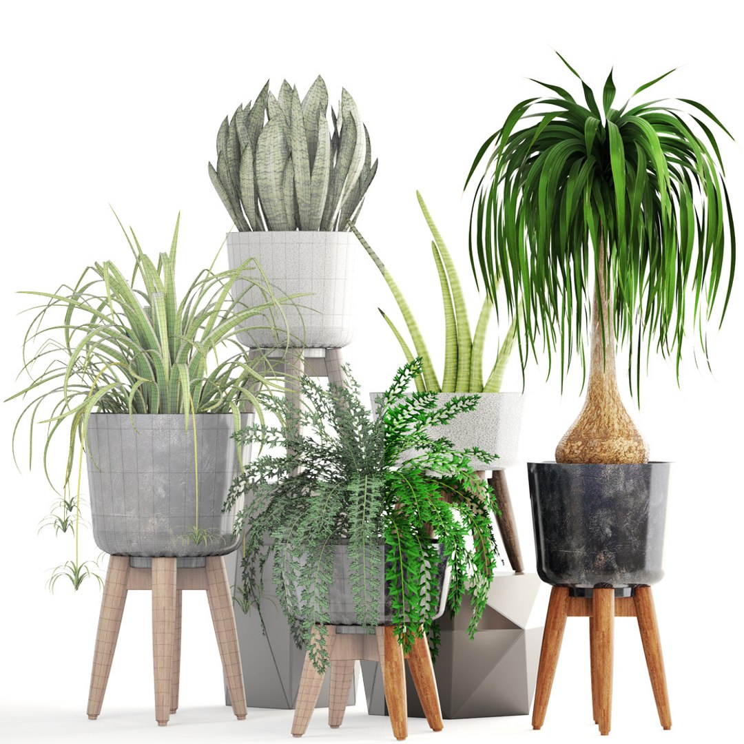 3D model plants pots west - TurboSquid 1260752