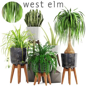 Collection plants