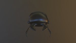 3D bug animals model