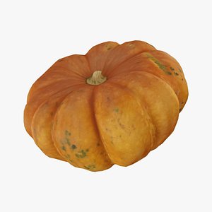 Squash Cucurbita maxima - Real-Time 3D Scanned