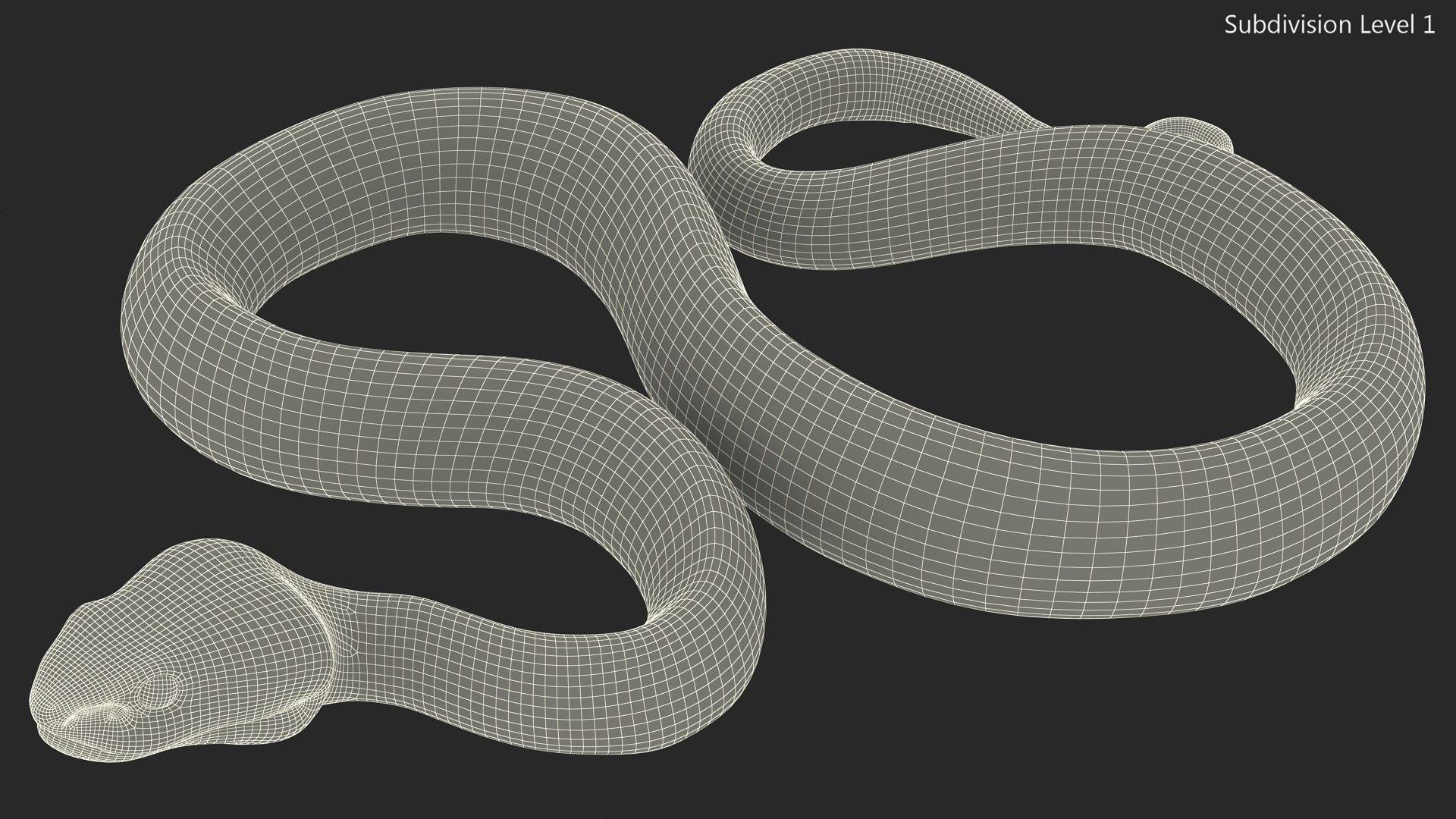3D model Creeping Blue Viper Trimeresurus https://p.turbosquid.com/ts-thumb/Tw/uVgUtQ/CB/creepingbluevipertrimeresurusc4dmodel021/jpg/1691390244/1920x1080/fit_q87/3d65be8245a66d43d5ff2c5e159a7988acce6518/creepingbluevipertrimeresurusc4dmodel021.jpg