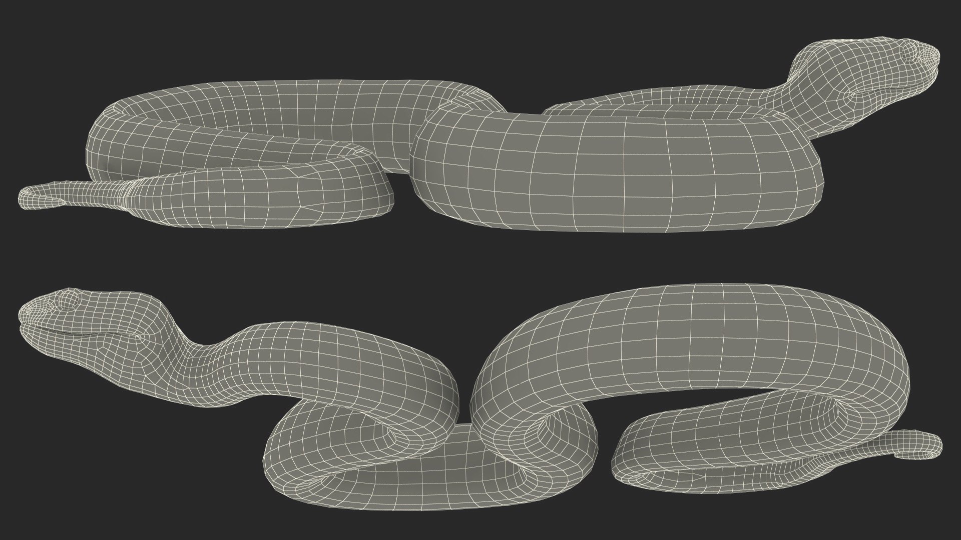 3D model Creeping Blue Viper Trimeresurus https://p.turbosquid.com/ts-thumb/Tw/uVgUtQ/Cx/creepingbluevipertrimeresurusc4dmodel031/jpg/1691390295/1920x1080/fit_q87/c75fefd3b47ab39dee252e82716ed1ec8251ba77/creepingbluevipertrimeresurusc4dmodel031.jpg