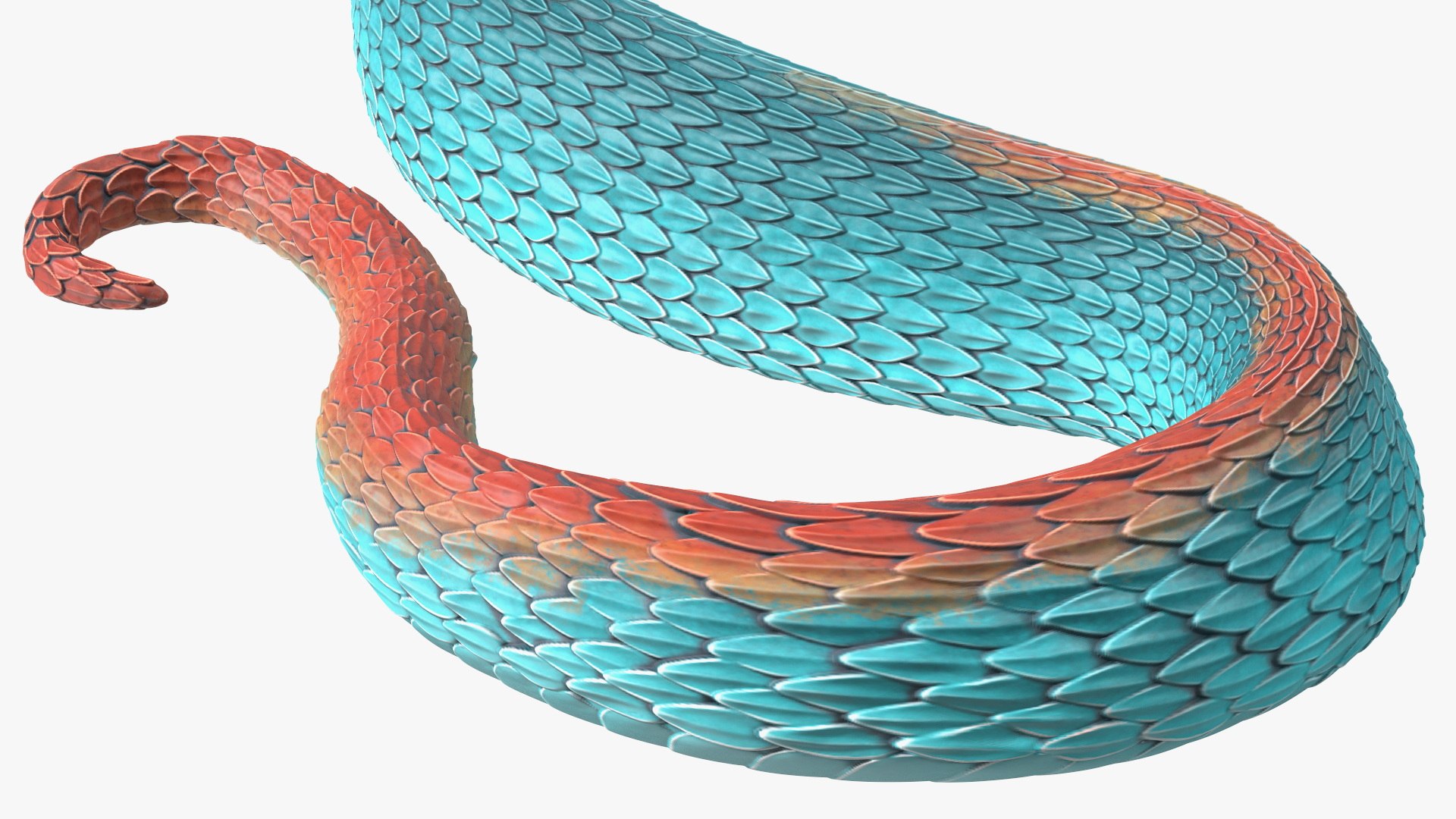 3D model Creeping Blue Viper Trimeresurus https://p.turbosquid.com/ts-thumb/Tw/uVgUtQ/K5/creepingbluevipertrimeresurusc4dmodel018/jpg/1691390232/1920x1080/fit_q87/ad6bb74a1017620e3ef6d4504673b2029557f0d5/creepingbluevipertrimeresurusc4dmodel018.jpg