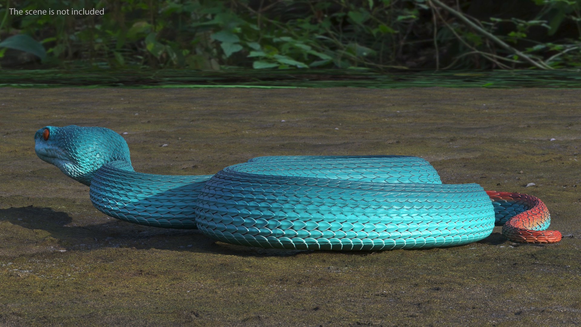 3D model Creeping Blue Viper Trimeresurus https://p.turbosquid.com/ts-thumb/Tw/uVgUtQ/LG/creepingbluevipertrimeresurusc4dmodel005/jpg/1691390170/1920x1080/fit_q87/f5e03d690e36c0e9edd97af64903c9850af4006f/creepingbluevipertrimeresurusc4dmodel005.jpg
