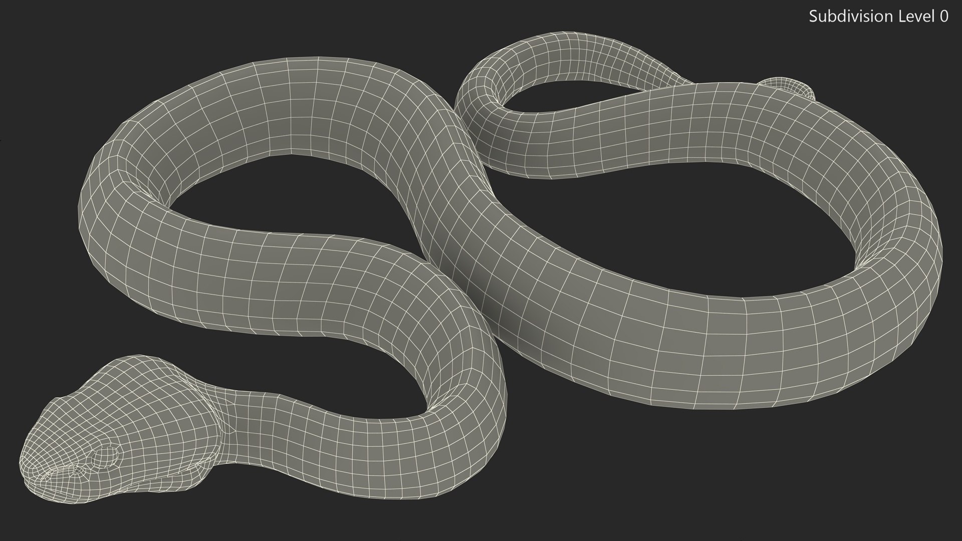 3D model Creeping Blue Viper Trimeresurus https://p.turbosquid.com/ts-thumb/Tw/uVgUtQ/Wc/creepingbluevipertrimeresurusc4dmodel020/jpg/1691390239/1920x1080/fit_q87/659b4427d072c9b68040980a276fe17db722235c/creepingbluevipertrimeresurusc4dmodel020.jpg