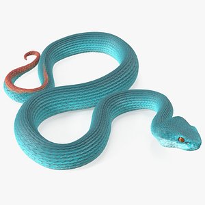 Bushmaster Snake 3D model - Download Animals on