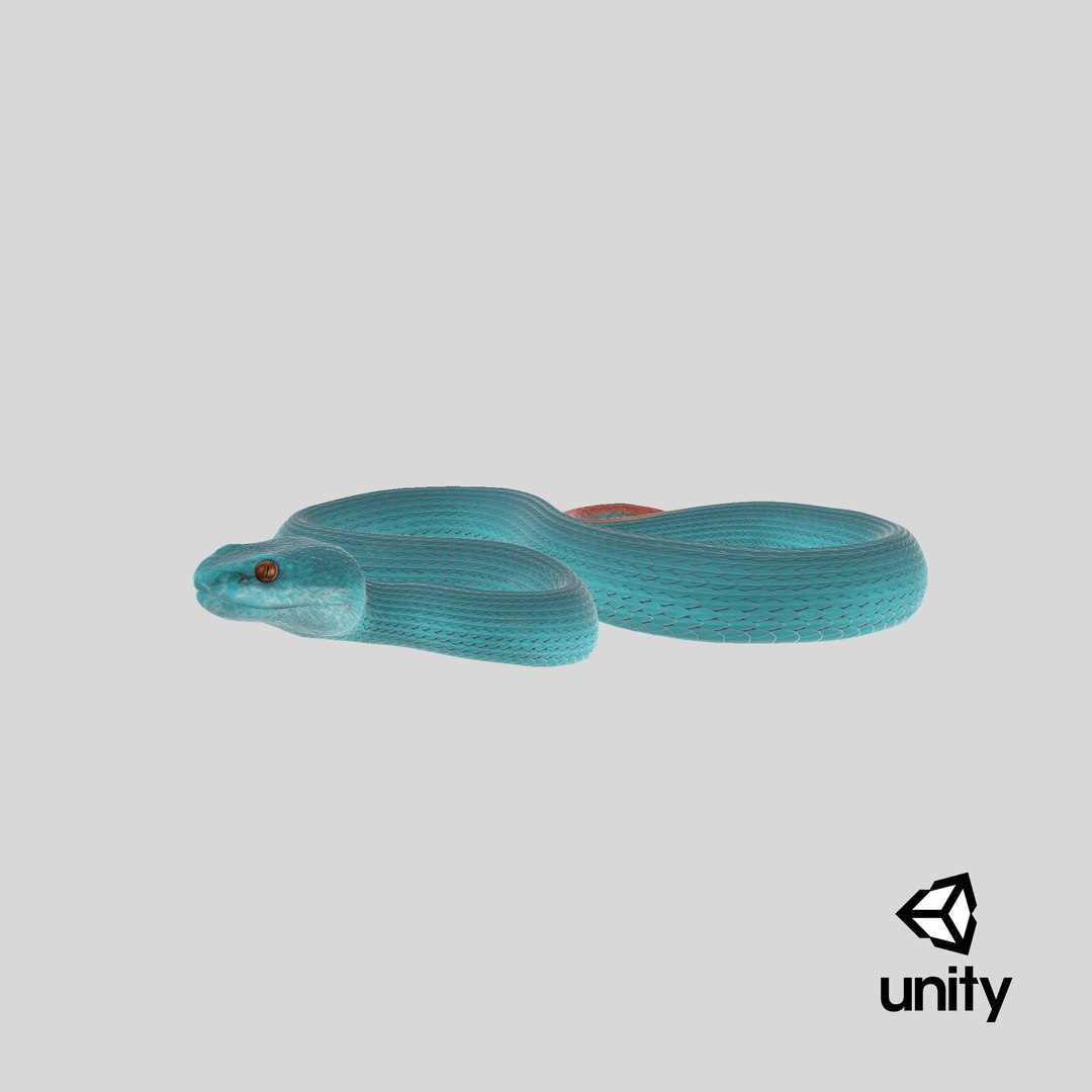 3D model Creeping Blue Viper Trimeresurus https://p.turbosquid.com/ts-thumb/Tw/uVgUtQ/y4/stemcell_unity_render/png/1693902614/1920x1080/fit_q87/39ac500fd9f075237753fb5f388105ed88ce1d39/stemcell_unity_render.jpg