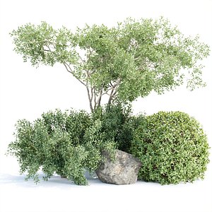 Plants for Garden Vol 331