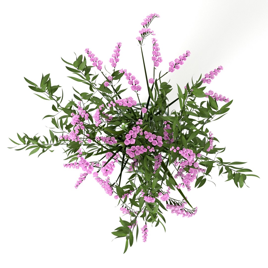 3D bouquet limonium glass vase - TurboSquid 1587194