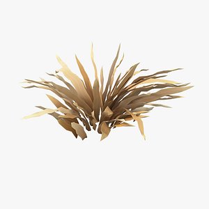 3D Cartoon Dry Grass 04