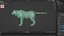 Modelo aparejado de dibujos animados 3D de tigre - Blender