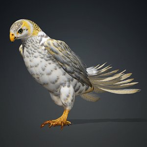 Kestrel-B7