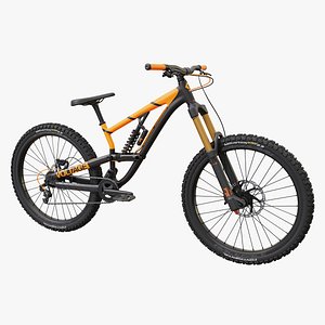Mountain Bike Rigged