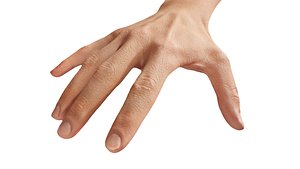 Retopologized 3D Hand scan of Rylen Cannon 3D