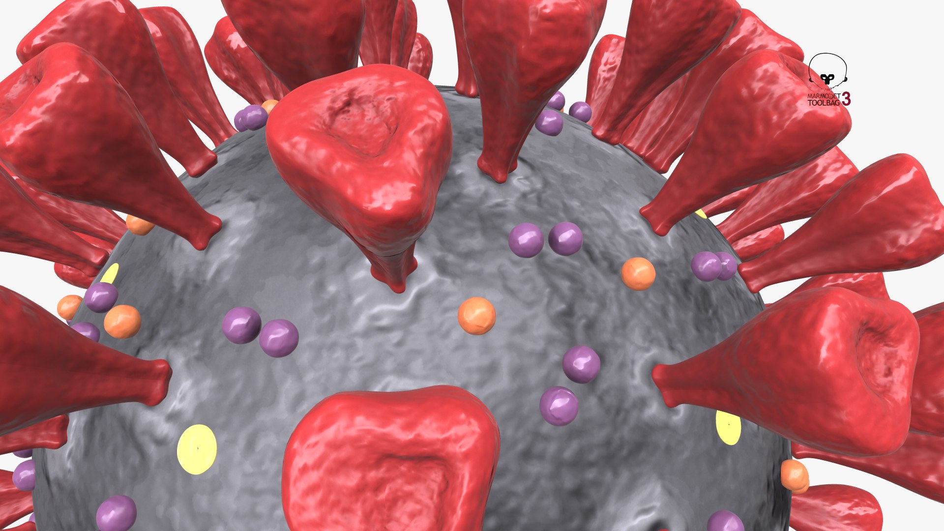 3D Novel Coronavirus Virus Science Model - TurboSquid 1532218