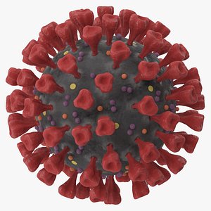Novel Coronavirus