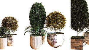 plant in box set 038 3D