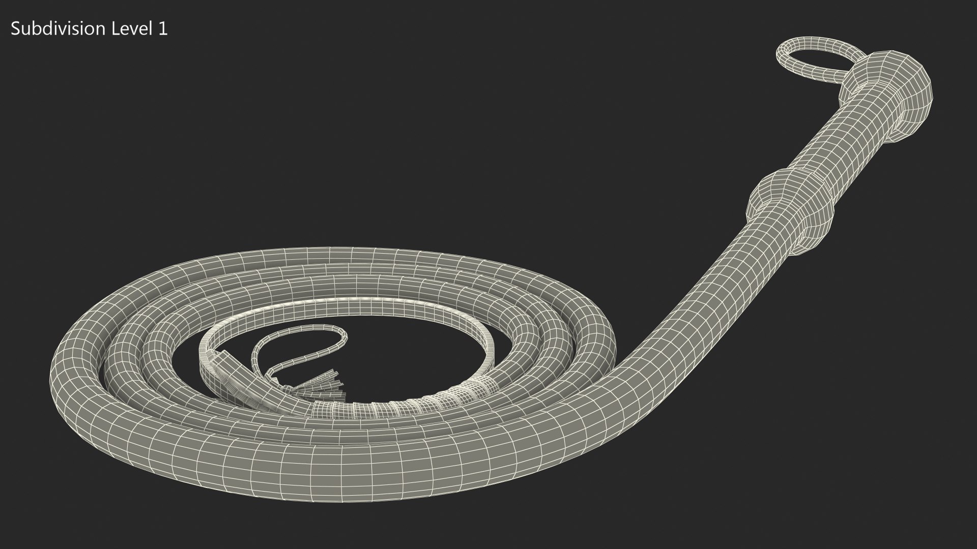 Cowboy Black Curved Whip 3D Model - TurboSquid 2099669