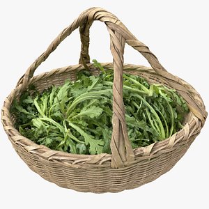 A basket of vegetables 3d scan 3D model