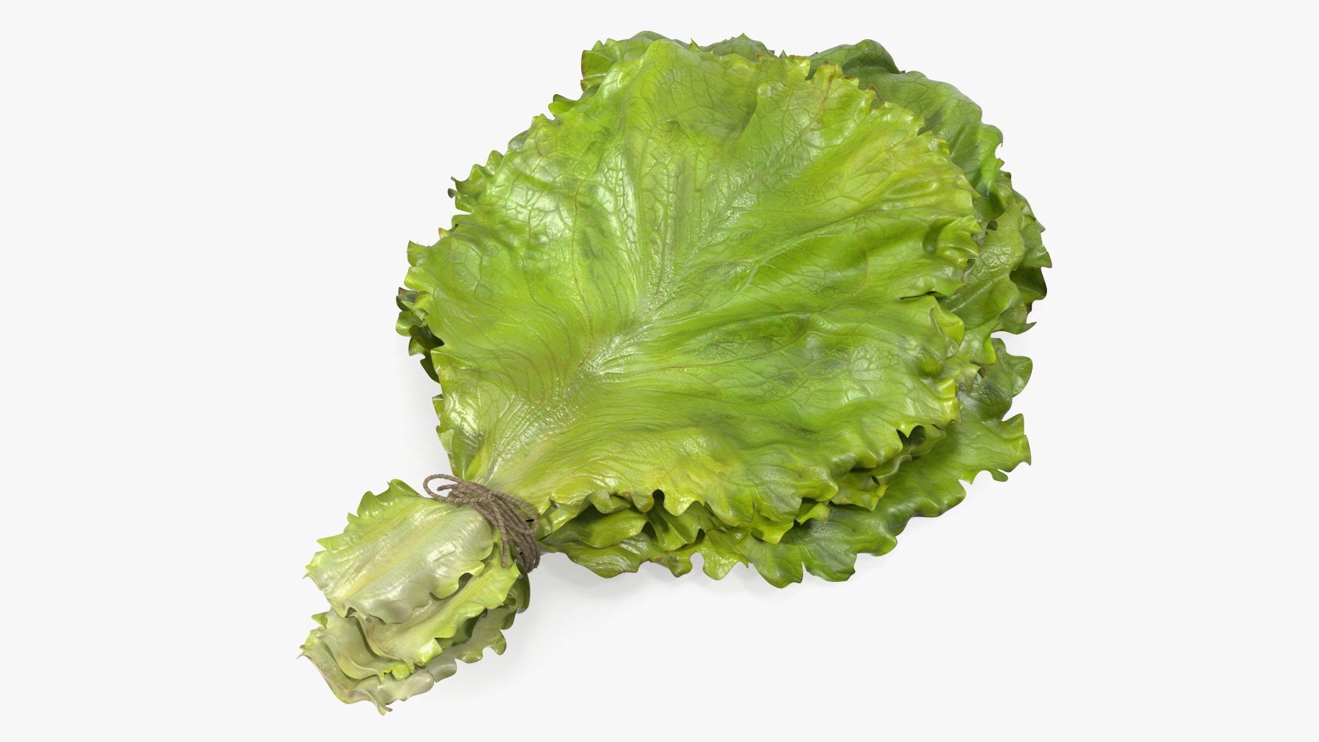 Bunch of Lettuce Fur 3D model preview