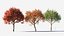 3D Acer monspessulanum tree-2