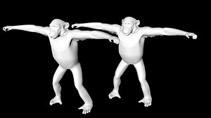 chimpanzee model
