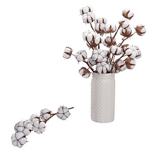 3D Cotton Plant
