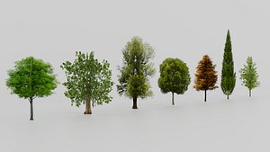 3D Lowpoly Trees model