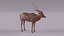 Addax antelope