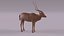 Addax antelope