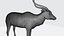 Addax antelope