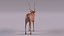 Addax antelope