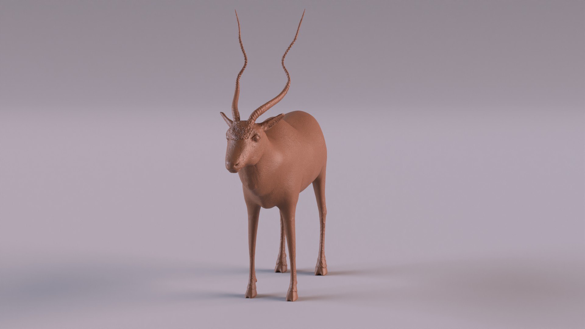 Addax antelope 3D model https://p.turbosquid.com/ts-thumb/Tz/9pCnar/sB/addaxpr_0009/jpg/1672334364/1920x1080/fit_q87/f511464456b837e03dc84fd083119b728b7aeaa9/addaxpr_0009.jpg
