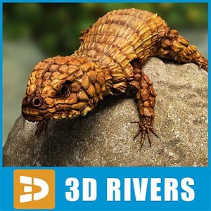 Armadillo lizard by 3DRivers