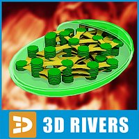 Chloroplast by 3DRivers