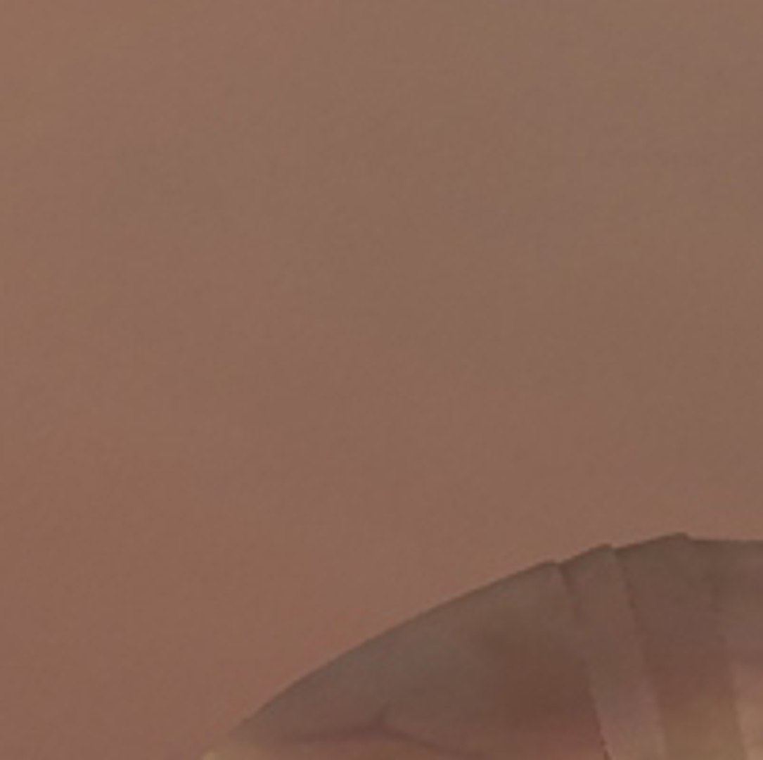 flea max https://p.turbosquid.com/ts-thumb/Tz/Rk6Ukd/3QPjpQFs/2/jpg/1279046717/1920x1080/fit_q87/30d9c456d92c66f69b521a9447ec475523d6b0f0/2.jpg