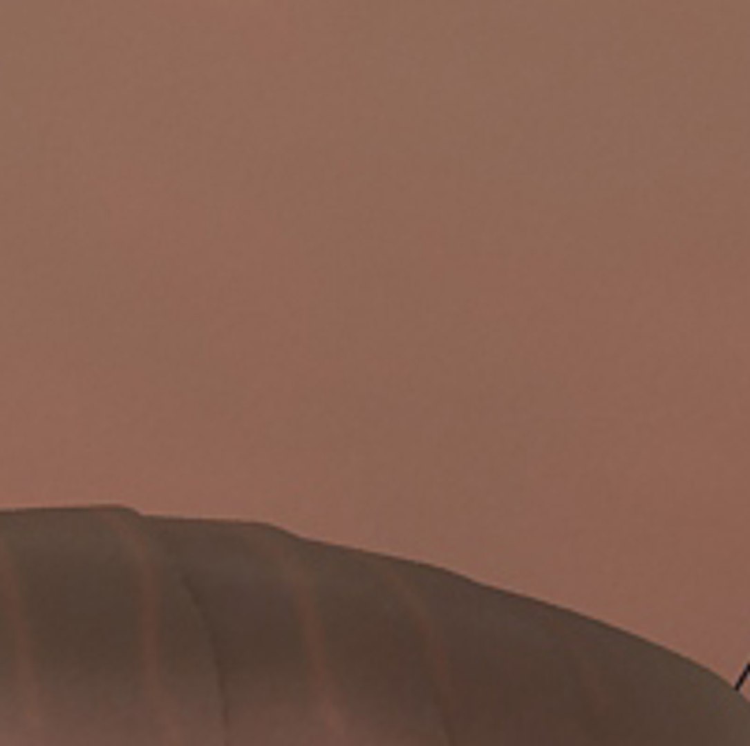 flea max https://p.turbosquid.com/ts-thumb/Tz/Rk6Ukd/GRrah6SB/4/jpg/1279046717/1920x1080/fit_q87/607c4b79bdca061451f2ff82498f373b2eadd99d/4.jpg