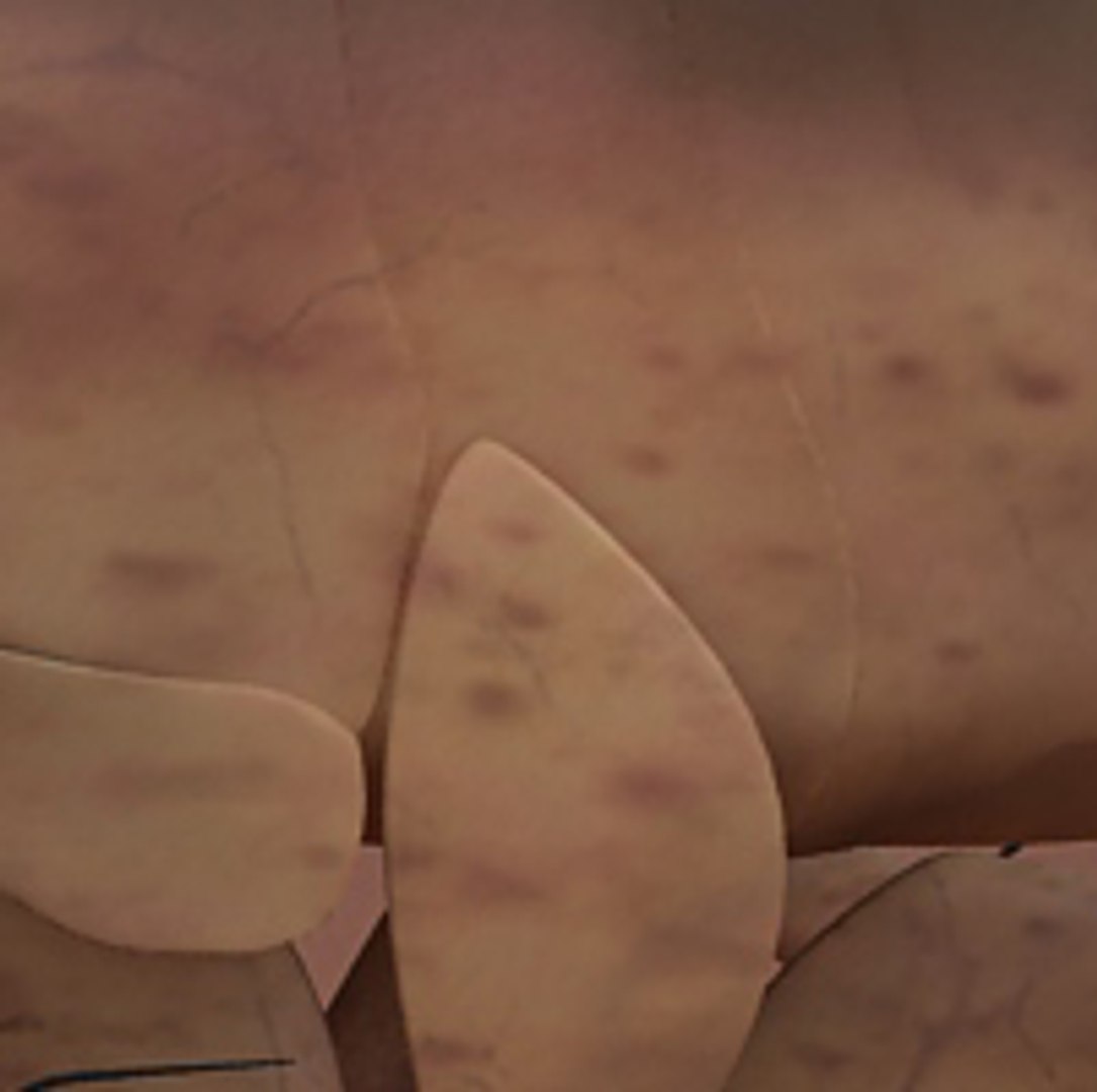 flea max https://p.turbosquid.com/ts-thumb/Tz/Rk6Ukd/XIbX2Xbi/10/jpg/1279046717/1920x1080/fit_q87/a0df4b61094ac588dfa52f33e7c57bcc2f30c30e/10.jpg