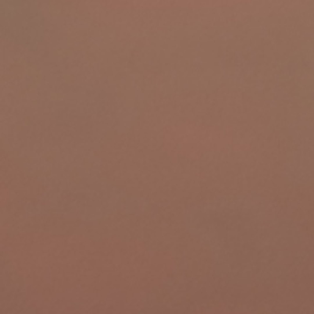 flea max https://p.turbosquid.com/ts-thumb/Tz/Rk6Ukd/asuhinfF/1/jpg/1279046717/1920x1080/fit_q87/2005f91e66391bd00cfe3477b7a6ce4a79b85609/1.jpg