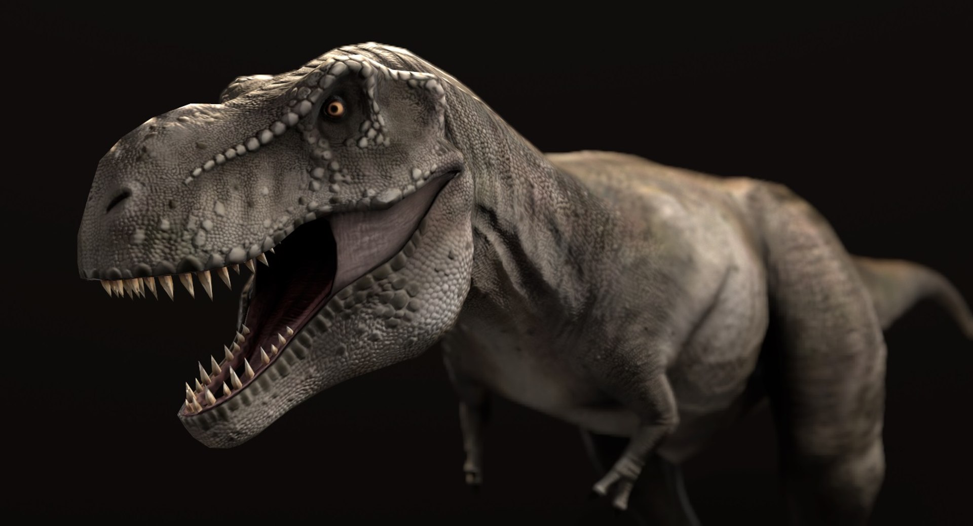 3D Tyrannosaurus Rex Model - TurboSquid 1216355
