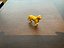 Golden Retriever Dog 3D Model 3D model