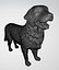 Golden Retriever Dog 3D Model 3D model