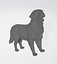 Golden Retriever Dog 3D Model 3D model