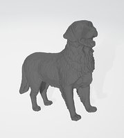 Golden Retriever Dog 3D Model