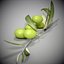 3d olive branch