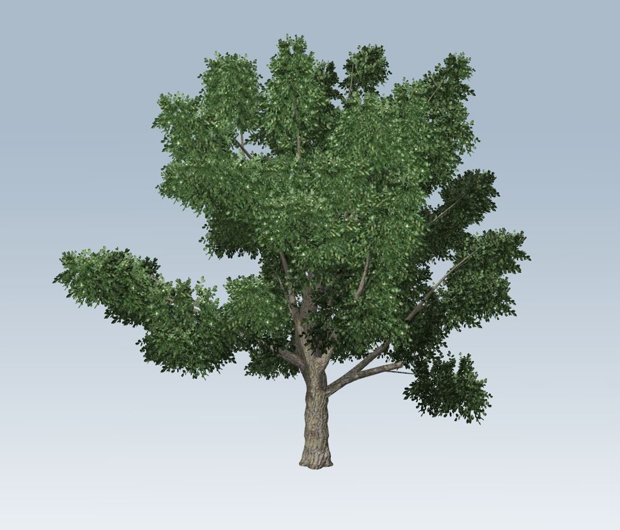 3D Model Tree Environment Branches - TurboSquid 1321541